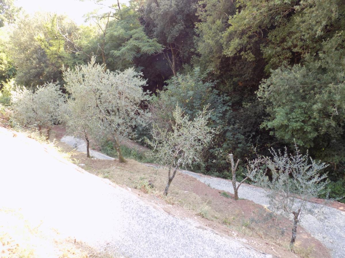 Fattoria Ceragioli Camaiore Exterior foto