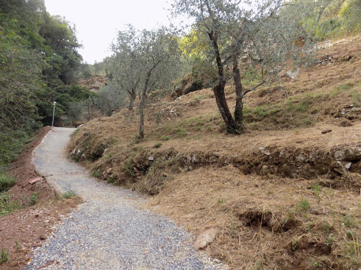 Fattoria Ceragioli Camaiore Exterior foto