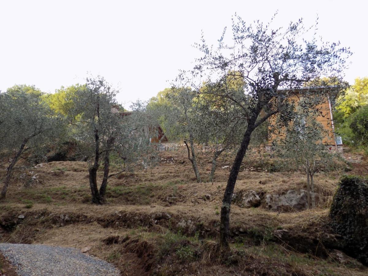 Fattoria Ceragioli Camaiore Exterior foto