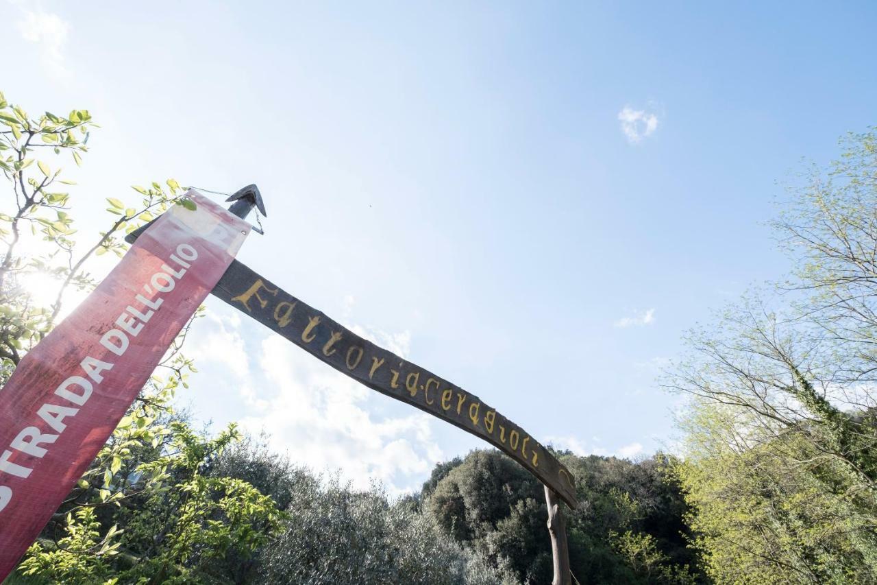 Fattoria Ceragioli Camaiore Exterior foto