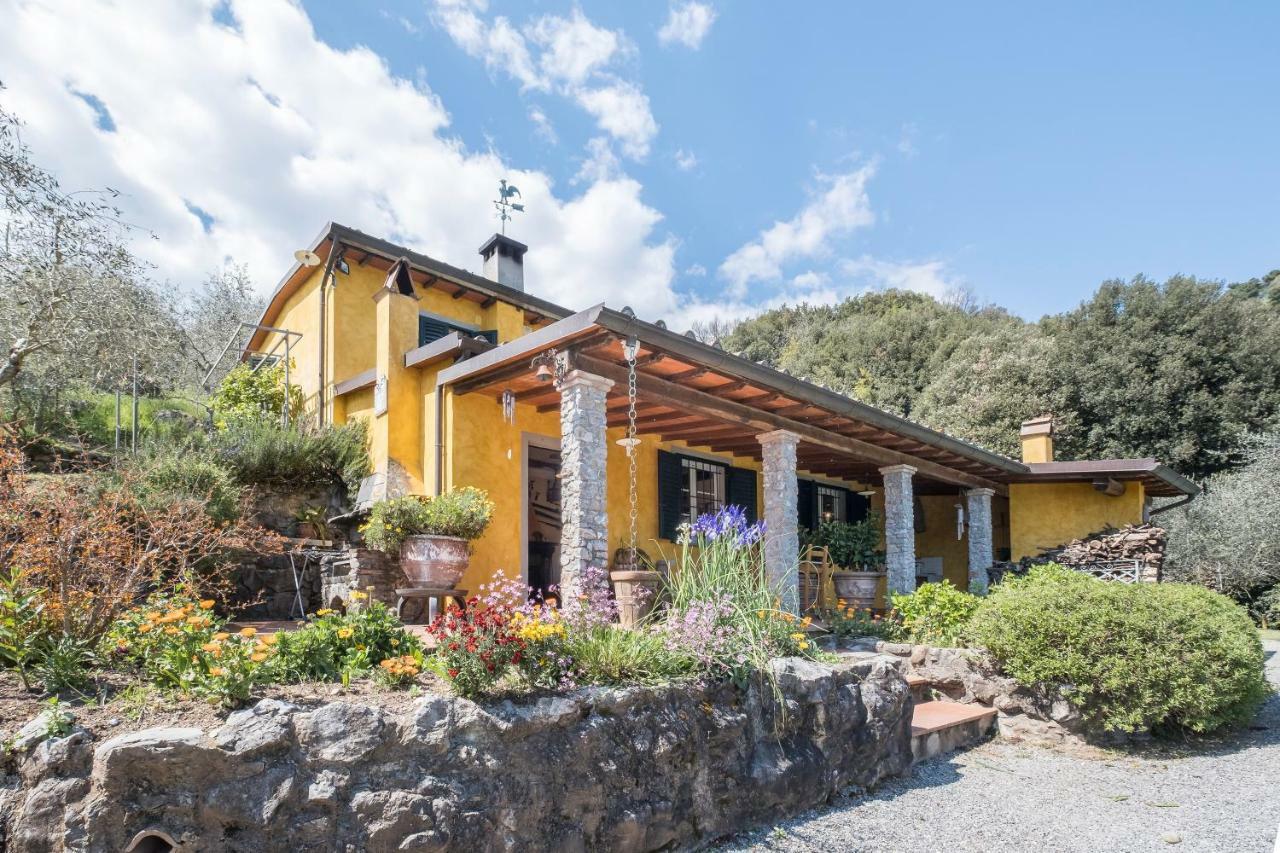 Fattoria Ceragioli Camaiore Exterior foto